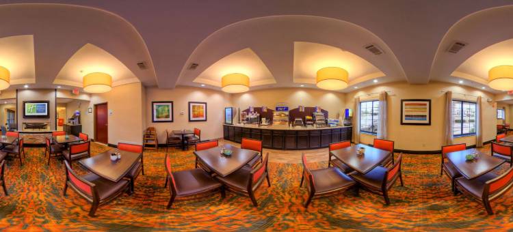 格兰伯瑞智选假日酒店及套房(Holiday Inn Express & Suites Granbury)图片