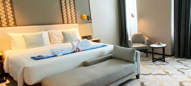 安那拉机场酒店(Anara Airport Hotel)图片