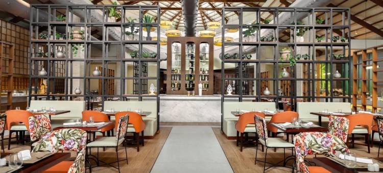卡纳角桑史盖普可可酒店(Sunscape Coco Punta Cana - All Inclusive)图片