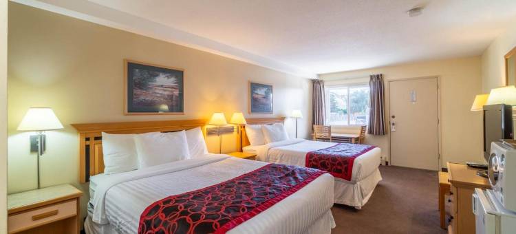 卡什溪加拿大最佳价值沙漠套房酒店(Canadas Best Value Desert Inn & Suites)图片