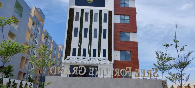 塔德帕利斯里财富大酒店(Sree Fortune Grand, Tadepalli)图片