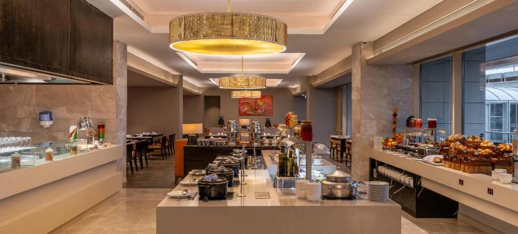 Radisson Blu Hotel, Conakry图片