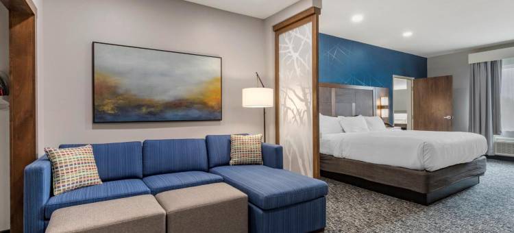 格林维尔机场舒适套房酒店(Comfort Suites Greenville Airport)图片