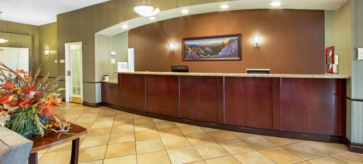 阿尔伯克基中城拉昆塔温德姆套房酒店(La Quinta Inn & Suites by Wyndham Albuquerque Midtown)图片