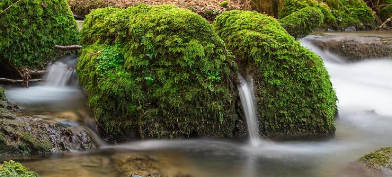 乡村旅馆希伦磨坊(Landgasthof Hieren Mühle)图片