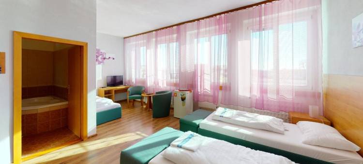 休伯特诺夫匝姆吉酒店(Hotel Hubert Nové Zámky)图片