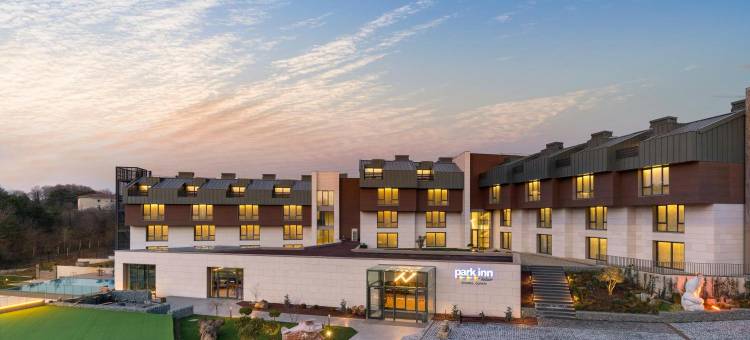 伊斯坦布尔机场丽柏酒店(Park Inn by Radisson Istanbul Airport, Odayeri)图片