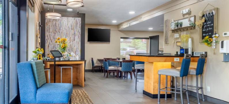 阿什维尔东-蓝岭山行车通道舒适酒店(Comfort Inn Asheville East-Blue Ridge Pkwy Access)图片