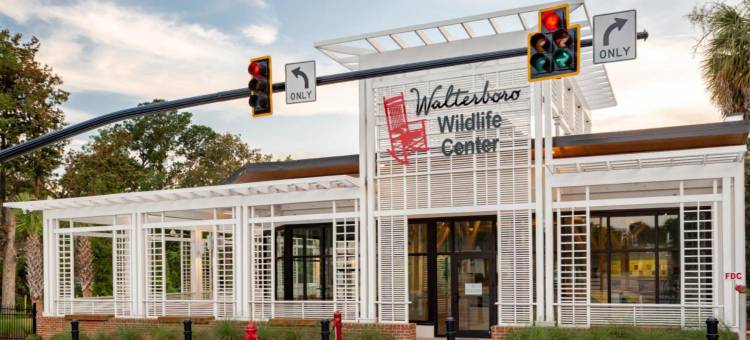 Travelodge by Wyndham Walterboro图片