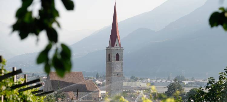 1477 Reichhalter图片