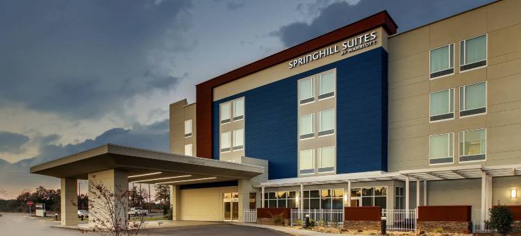 格尔夫波特I-10万豪SpringHill Suites酒店(SpringHill Suites Gulfport I-10)图片
