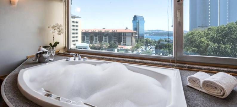 伊斯坦布尔塔克辛马套房(Taxim Suites Residences Istanbul)图片