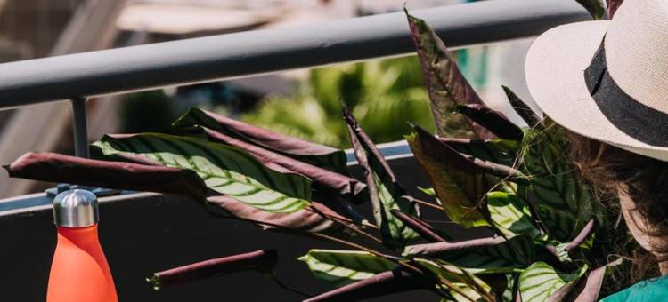 戴夫海滩酒店，布朗酒店集团成员(Dave by the Beach Loutraki, a Member of Brown Hotels)图片