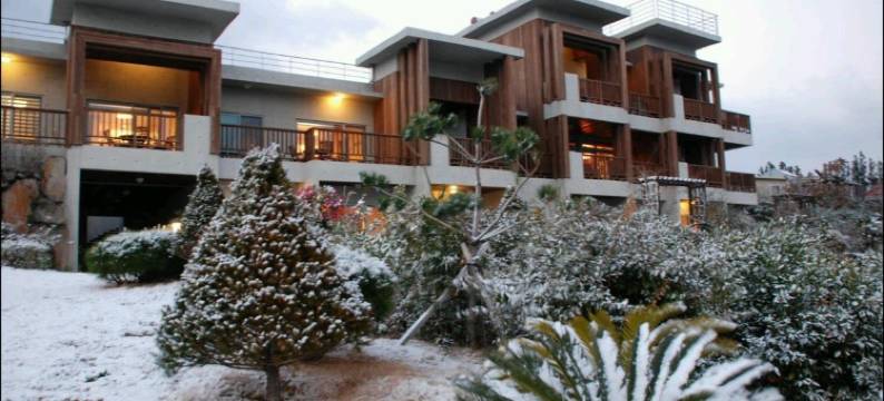 济州生态套房酒店(Jeju Eco Suites)图片