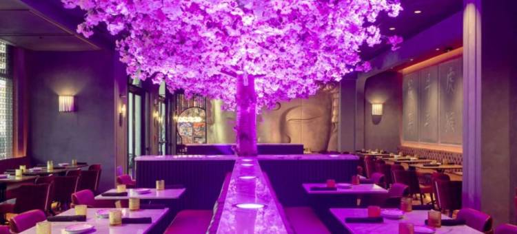 智选假日套房酒店那不勒斯(市区)(Holiday Inn Express & Suites NAPLES DOWNTOWN - 5TH AVENUE by IHG)图片
