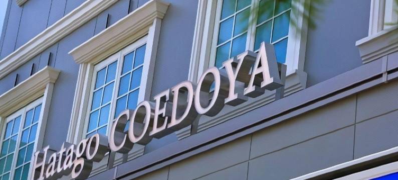 旅笼小江户屋酒店(Hatago Coedoya)图片