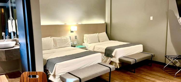 绿洲广场酒店(Oasis Plaza Hotel)图片