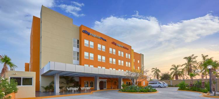 万豪城市快捷普拉斯卡波圣卢卡斯(City Express Plus by Marriott Cabo San Lucas)图片