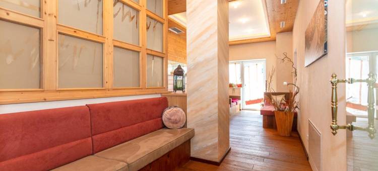 温格阿朋霍夫酒店(Apart Hotel Alpenhof Werfenweng)图片