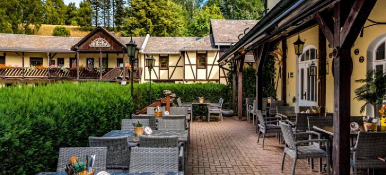 赛夫纳霍夫酒店(Hotel Seiffener Hof)图片