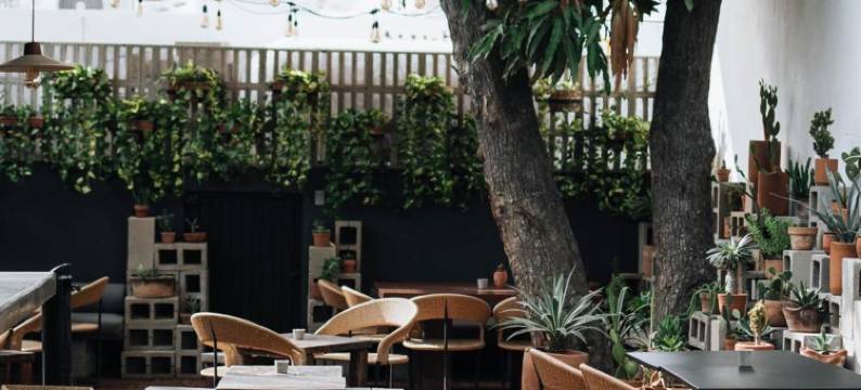 Drift San Jose del Cabo, a Member of Design Hotels图片