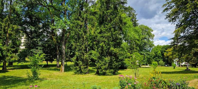 La Souveraine(拉索维灵)(La Souveraine)图片