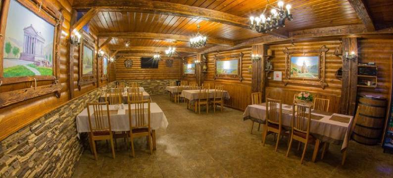 诺伊多莫杰多沃酒店(Noy Hotel Domodedovo)图片