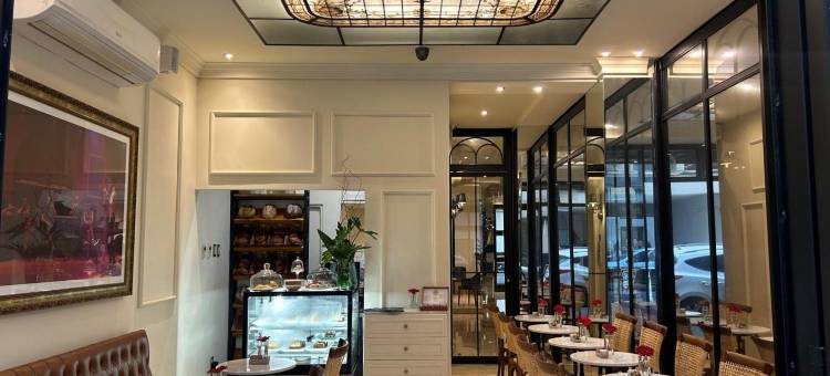 雷科莱塔广场美利亚酒店(Melia Recoleta Plaza)图片