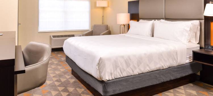 达拉斯艾迪生假日套房酒店(Holiday Inn & Suites Dallas-Addison)图片