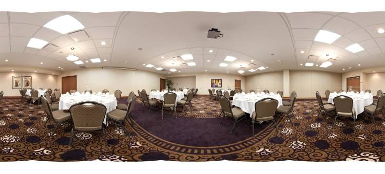 巴特尔克里克假日酒店(Holiday Inn Battle Creek)图片