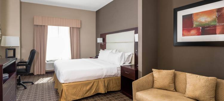 智选假日套房酒店马缨丹(Holiday Inn Express & Suites Lantana)图片