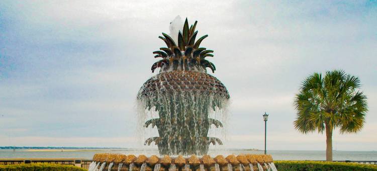 西艾叙莉查尔斯顿万豪TownePlace套房酒店(TownePlace Suites Charleston-West Ashley)图片