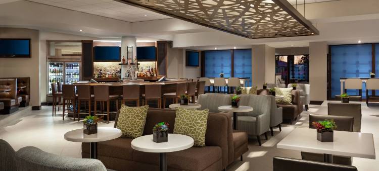 奥兰多机场湖畔万豪酒店(Marriott Orlando Airport Lakeside)图片