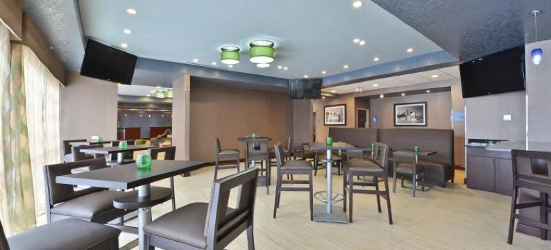 艾尔克格罗夫村奥黑尔温德姆花园酒店(Wyndham Garden Elk Grove Village/O'Hare)图片