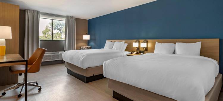 切斯特戴斯酒店(Comfort Inn Philadelphia International Airport West)图片