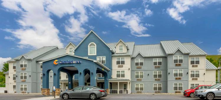 威斯维尔舒适酒店(Comfort Inn Wytheville - Fort Chiswell)图片