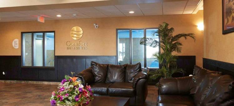 舒适套房酒店(Comfort Inn & Suites)图片