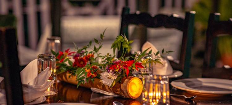 Eco Adventure Resorts the Temi Bungalow图片