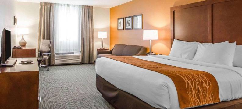 舒适酒店(Comfort Inn)图片