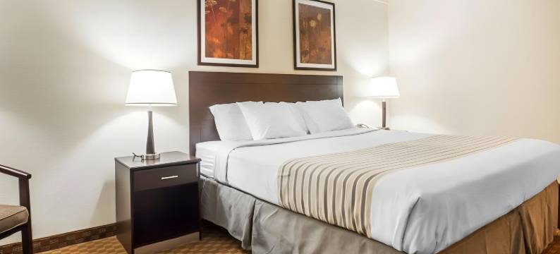 沙莫金坝/锡林斯格罗夫Travelodge by Wyndham酒店(Travelodge by Wyndham Shamokin DAM/Selinsgrove)图片