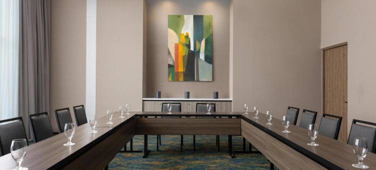 希尔顿卡里亚里圣何塞Homewood套房酒店(Homewood Suites By Hilton Cariari San Jose)图片