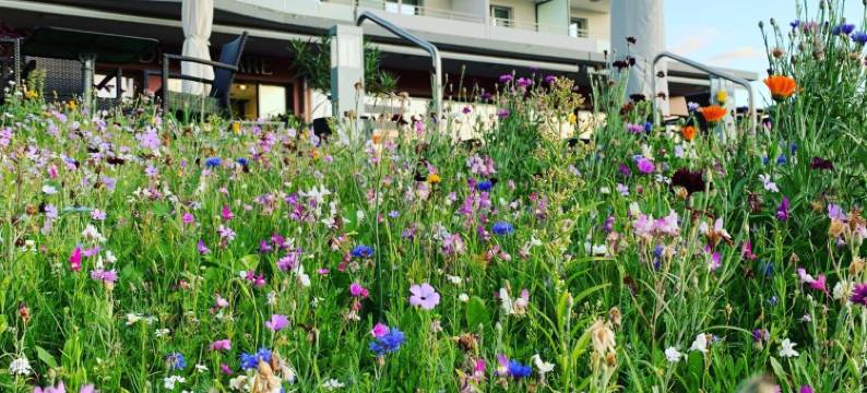 格拉尼斯酒店(Hôtel Glanis)图片