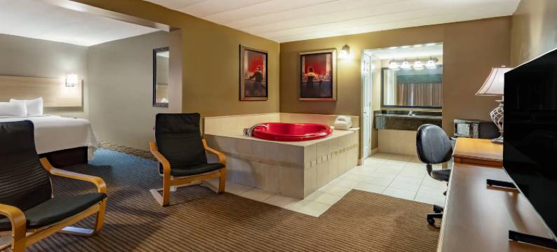 柏奇伦戴斯酒店(Days Inn Birch Run)图片