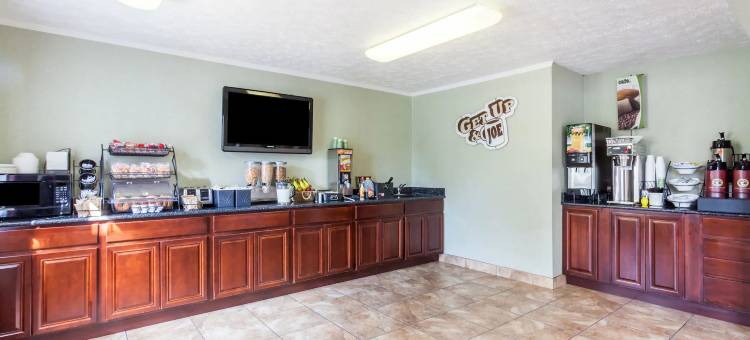 威尔逊麦客达套房酒店(Microtel Inn & Suites by Wyndham Wilson)图片