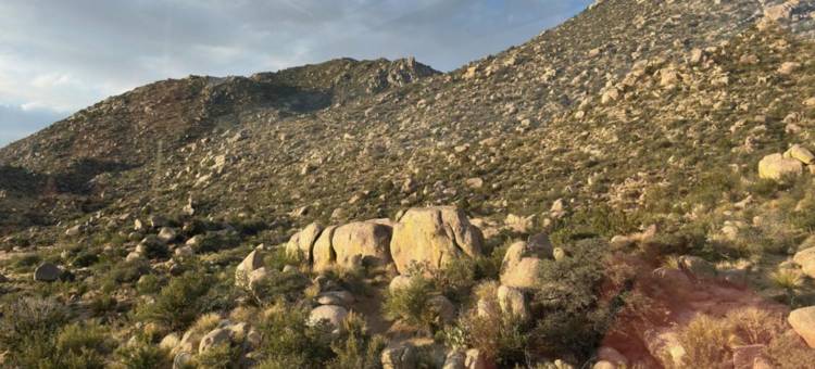 里约兰乔品质酒店(Quality Inn)图片