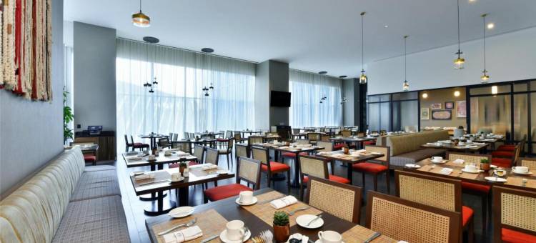 墨西哥城 Insurgentes 凯悦酒店(Hyatt Regency Mexico City Insurgentes)图片