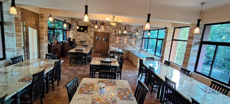 吉尔狮爪带泳池度假村(Gir Lions Paw Resort with Swimming Pool)图片