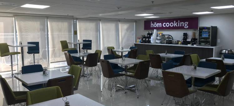 盖恩斯维尔Hom酒店贝斯特韦斯特SureStay Collection(Hom Hotel Gainesville, SureStay Collection by Best Western)图片