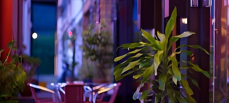 德波塔尼酒店(De Botani Hotel)图片