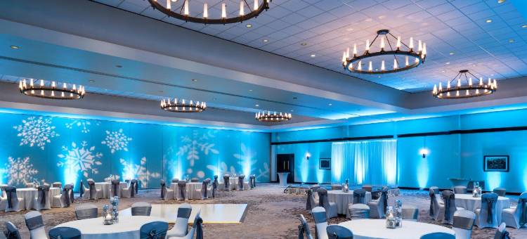 达拉斯沃斯堡机场威斯汀酒店(The Westin Dallas Fort Worth Airport)图片